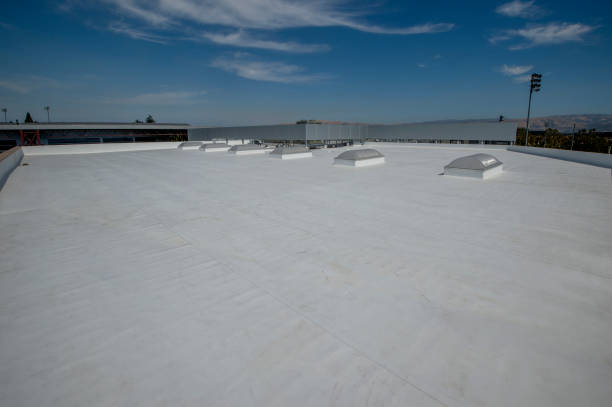 Best Flat Roofing  in North Lewisburg, OH