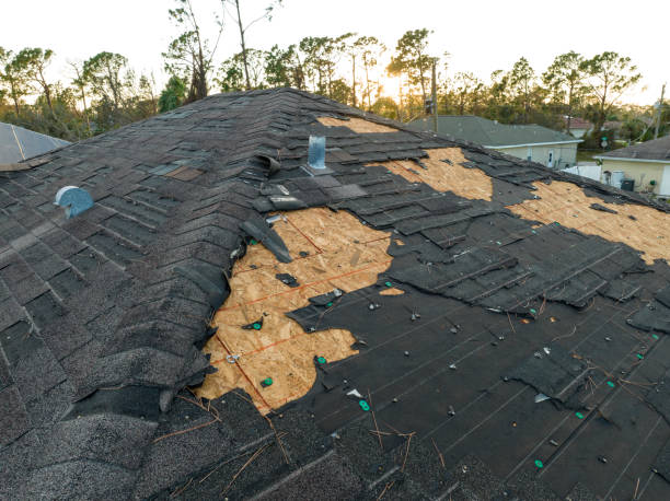 Best Storm Damage Roof Repair  in North Lewisburg, OH